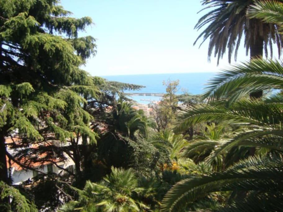 Mini Accommodation In Sanremo Liguria Exteriör bild
